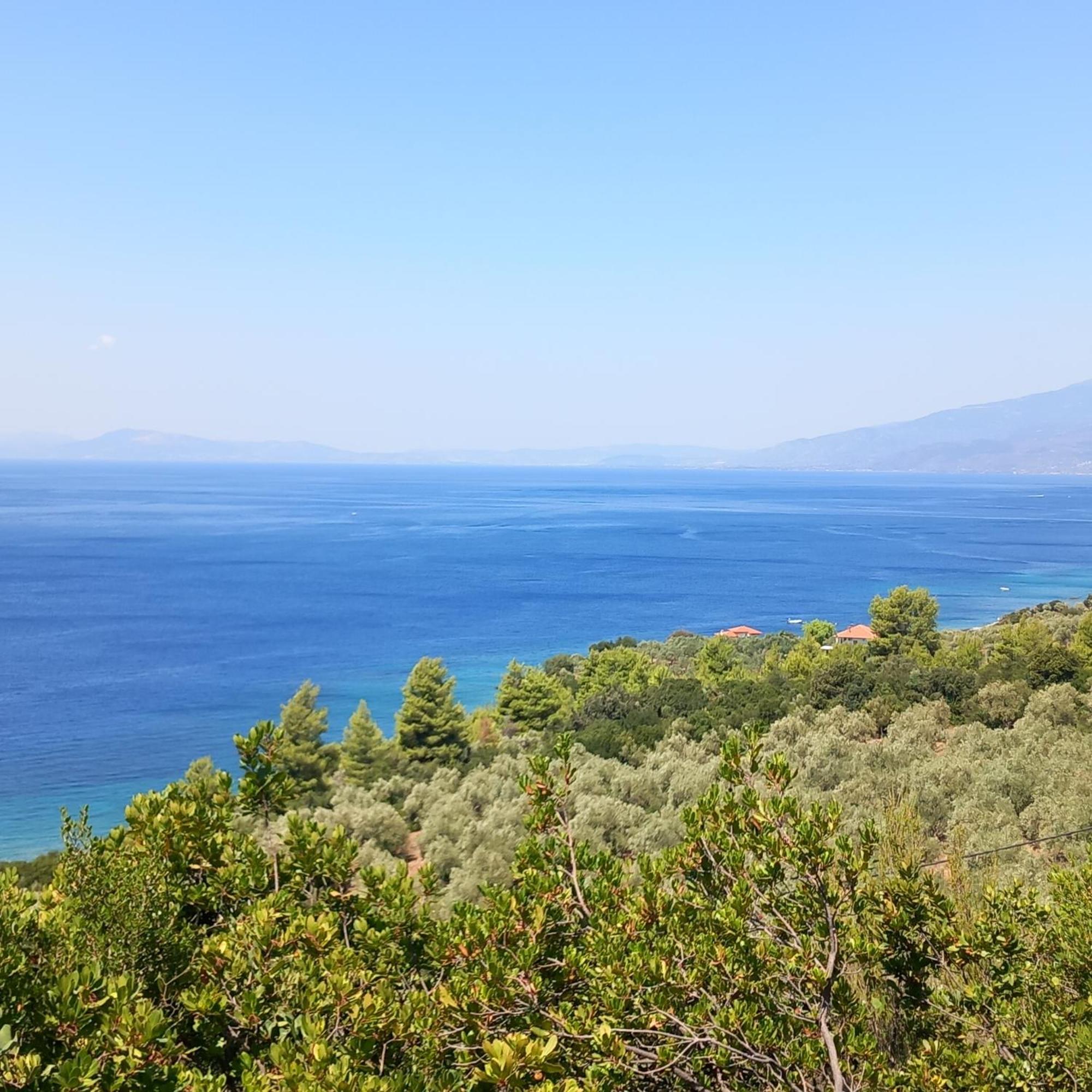 Milies Historic Chalet Pelion มิลี ภายนอก รูปภาพ